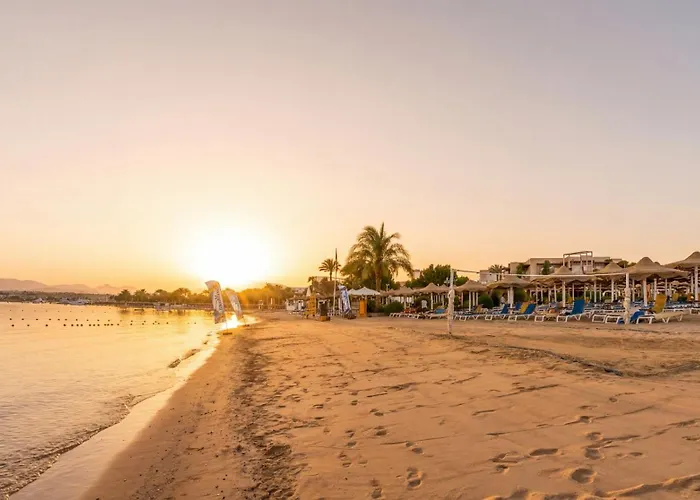 Hotel Plm Prima Life Makadi Hurghada